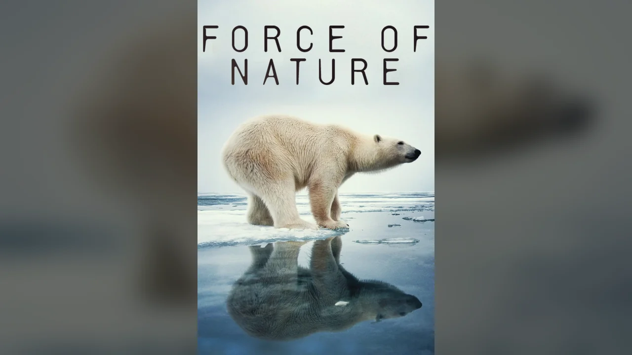 Сериал Force of Nature (1 сезон)