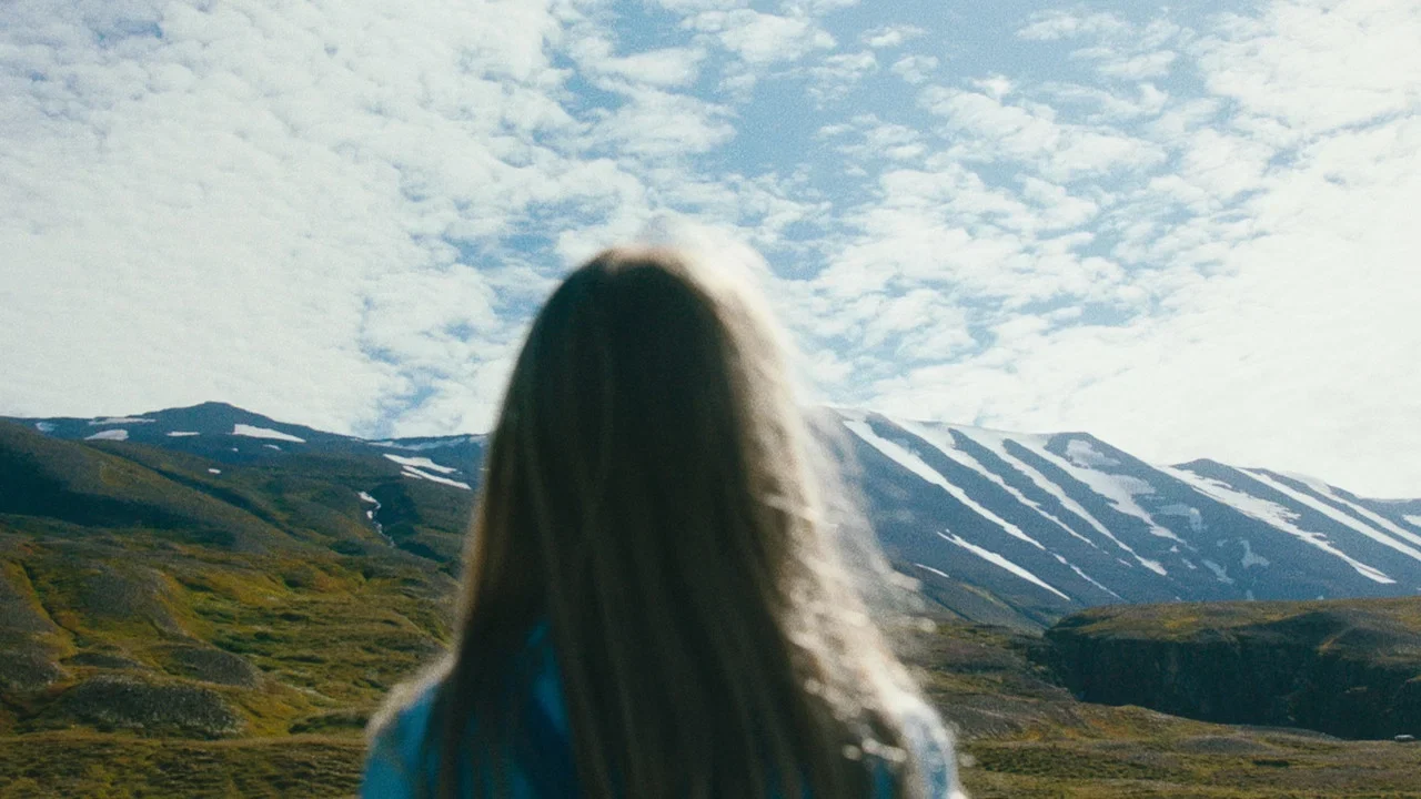 Фильм Лебедь (2017)