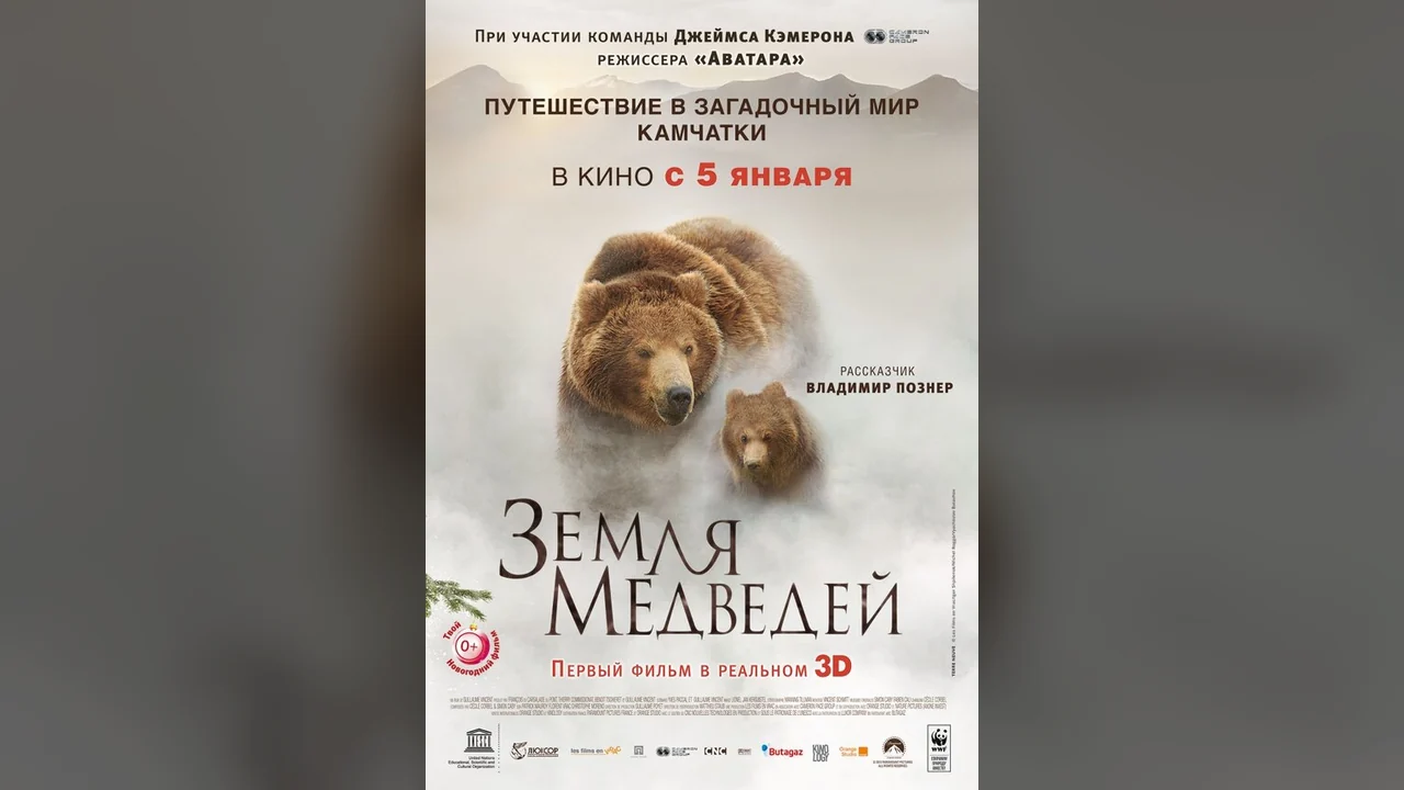 Фильм Земля медведей (2013)